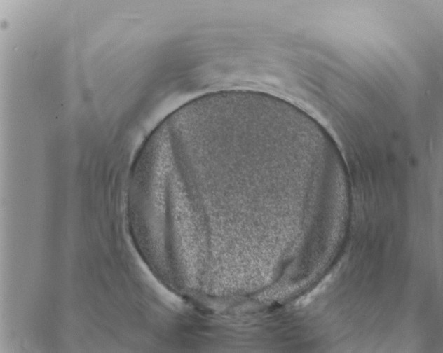 X0000088401525200706191345