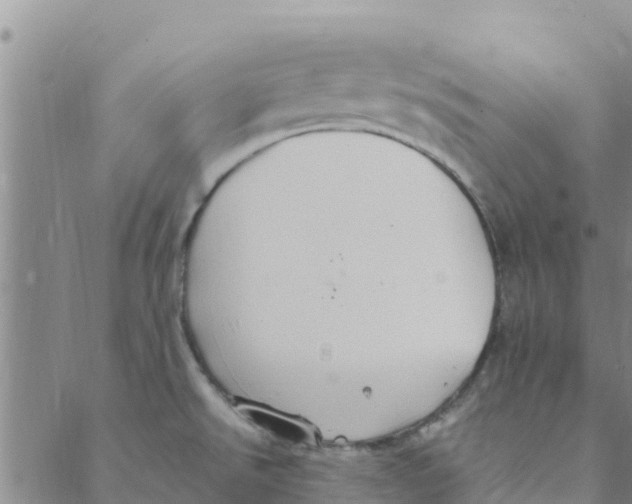 X0000088401526200706191345