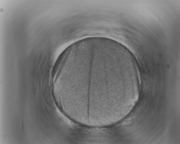 X0000088401527200706191345