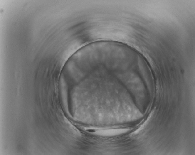 X0000088401529200706191345