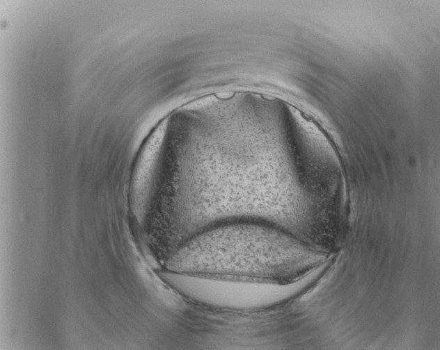 X0000088401530200706191345