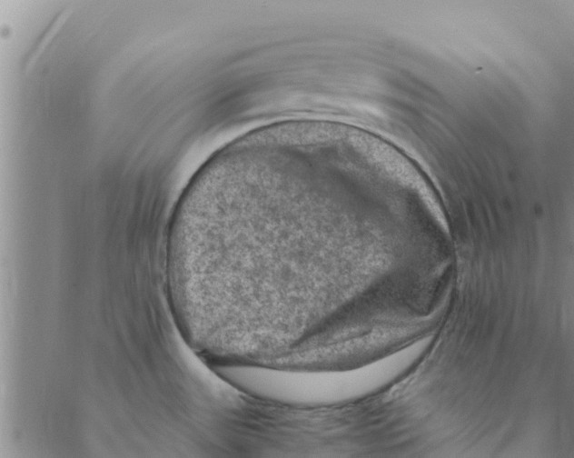 X0000088401531200706191345