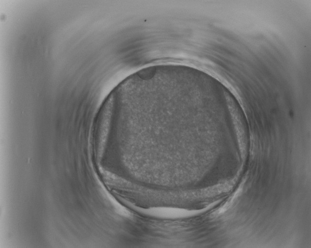 X0000088401533200706191345