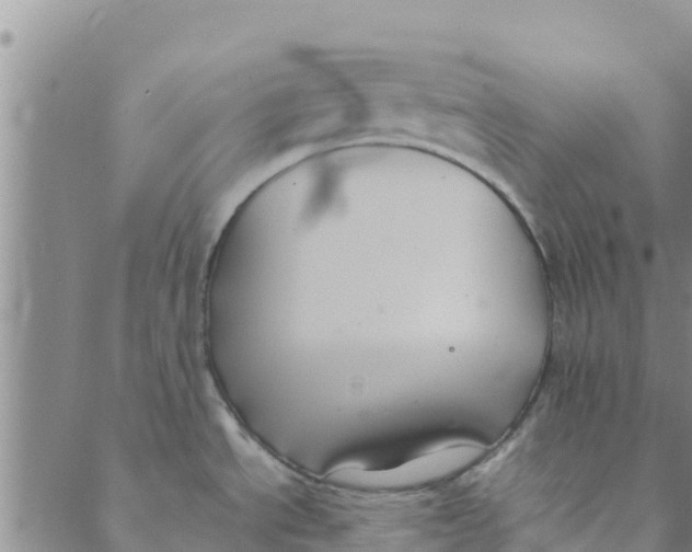 X0000088401534200706191345