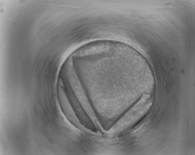 X0000088401536200706191345