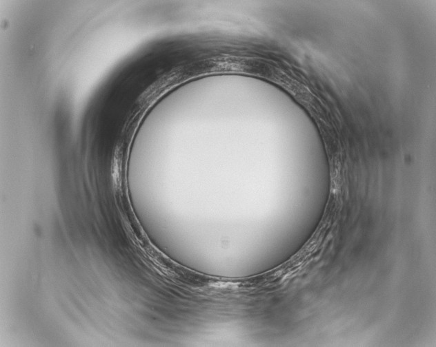 X0000088410052200705220822