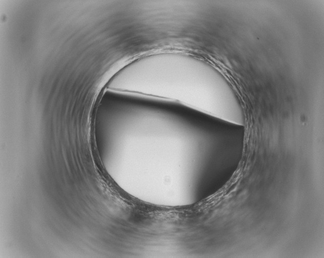 X0000088410100200705220822