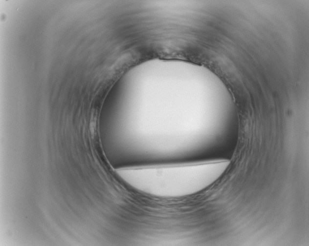 X0000088410129200705220821