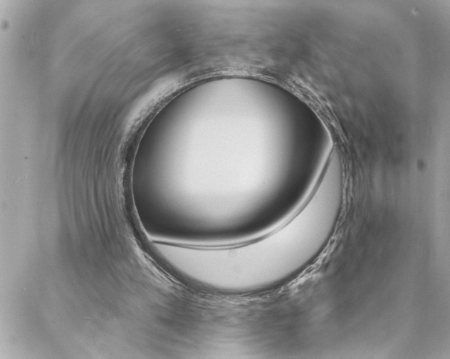 X0000088410197200705220820