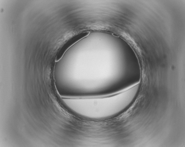 X0000088410201200705220820