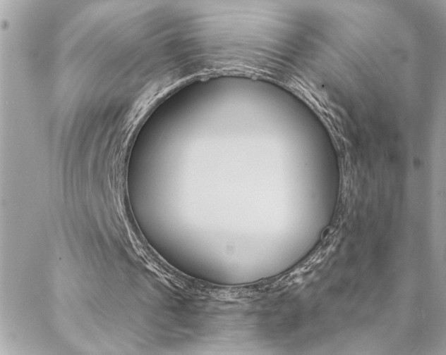 X0000088410241200705220819