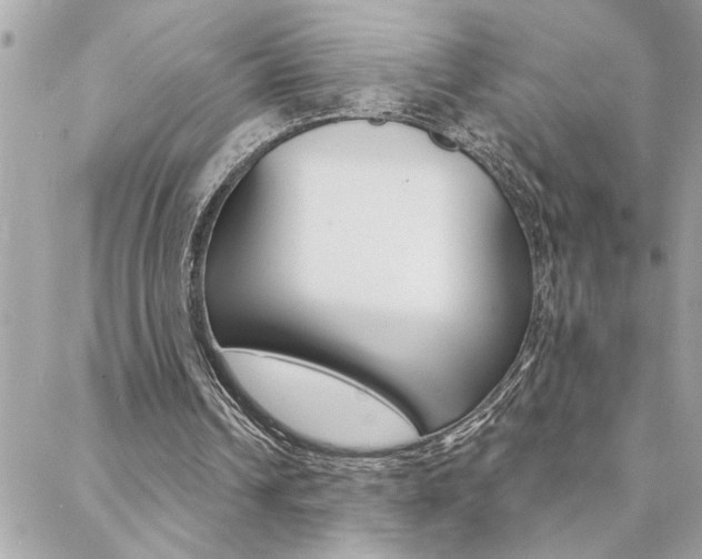 X0000088410242200705220819