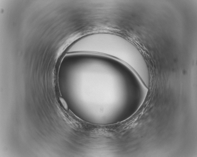 X0000088410244200705220819