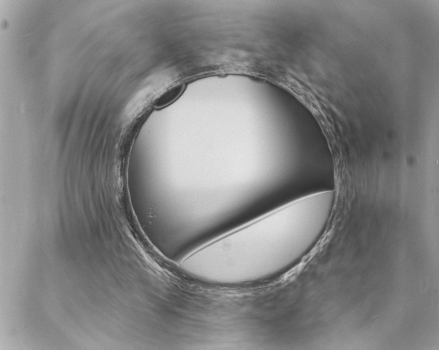 X0000088410245200705220819