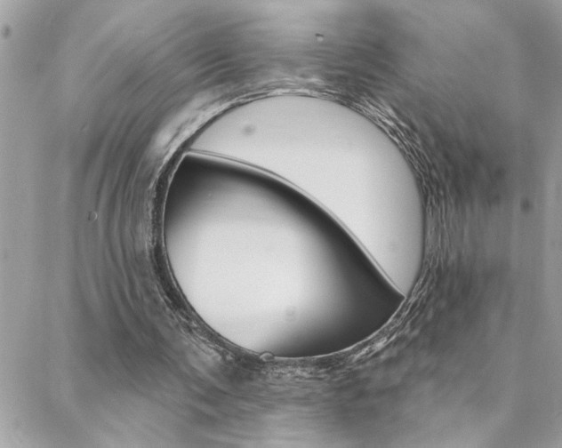 X0000088410291200705220819