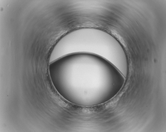 X0000088410305200705220818