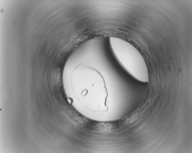 X0000088410328200705220818