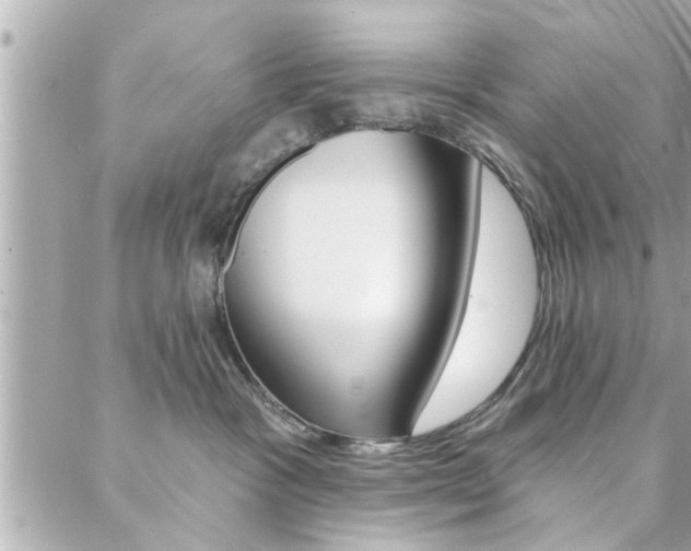 X0000088410333200705220818