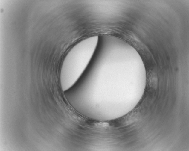 X0000088410374200705220818