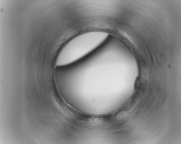 X0000088410451200705220816
