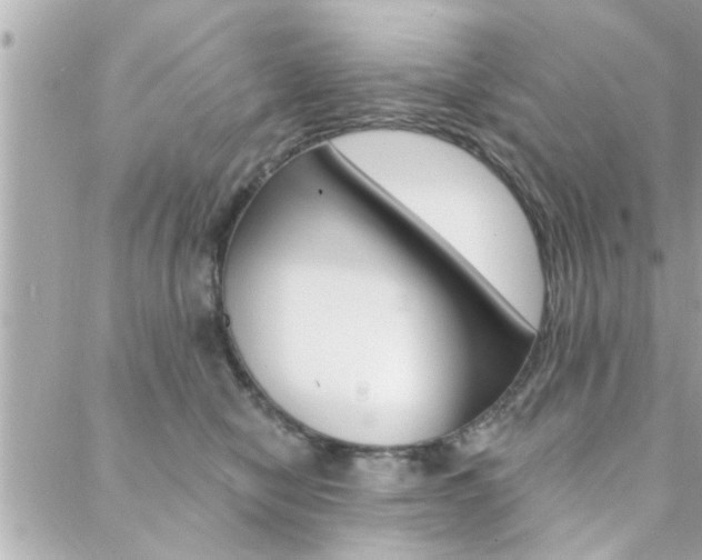 X0000088410470200705220816