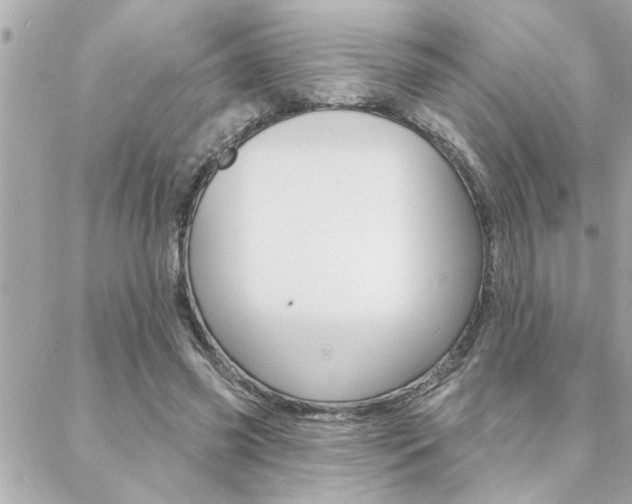 X0000088410541200705220814