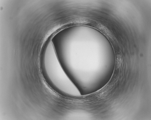 X0000088410726200705220811