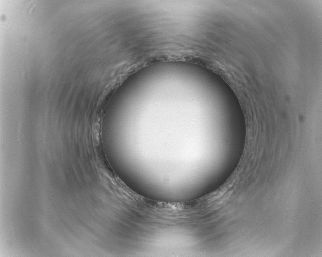 X0000088410768200705220812
