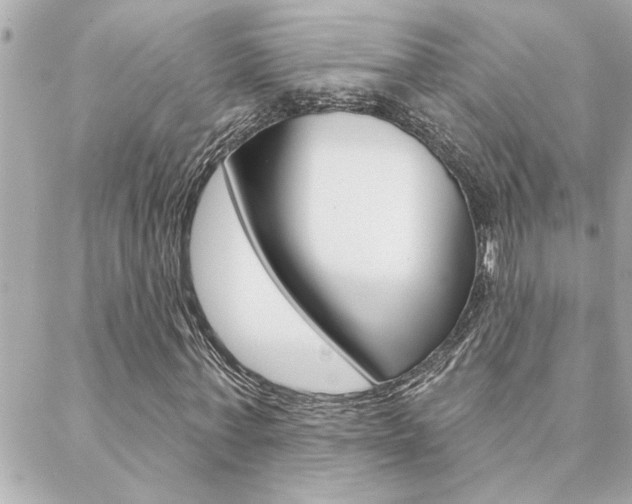 X0000088410771200705220811