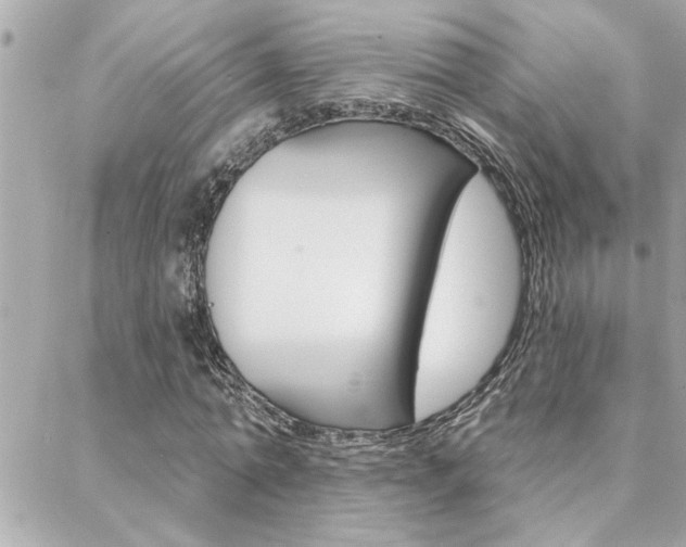 X0000088410774200705220811