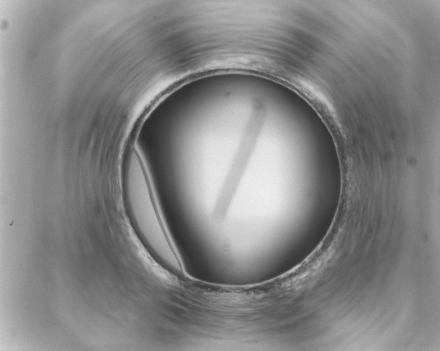 X0000088410792200705220810