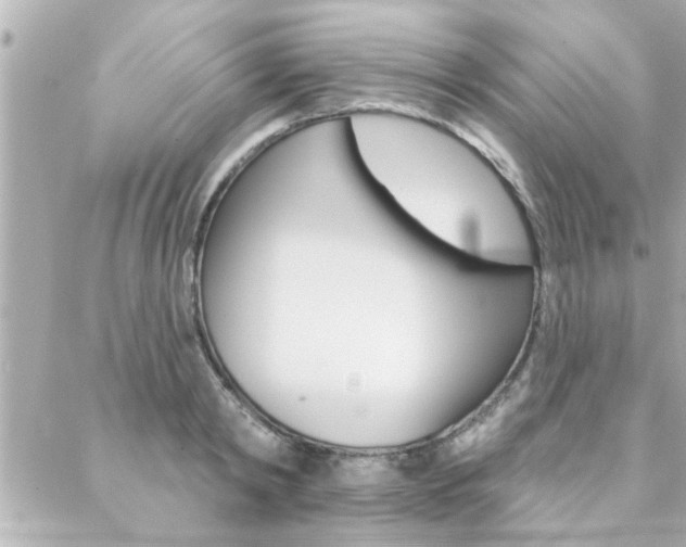 X0000088410798200705220810