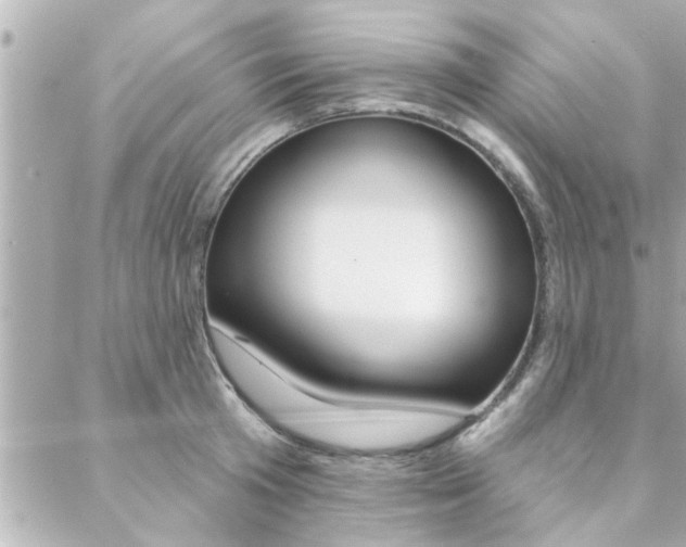 X0000088410801200705220810