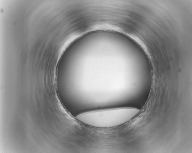 X0000088410815200705220810