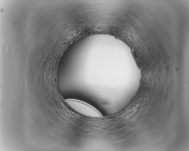 X0000088410817200705220809