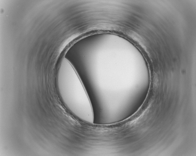 X0000088410829200705220810