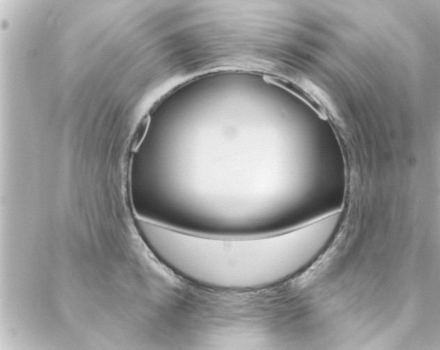 X0000088410854200705220810