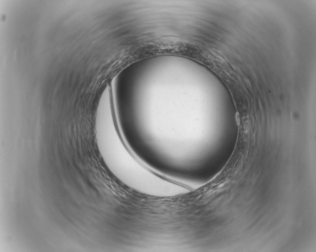 X0000088410916200705220808