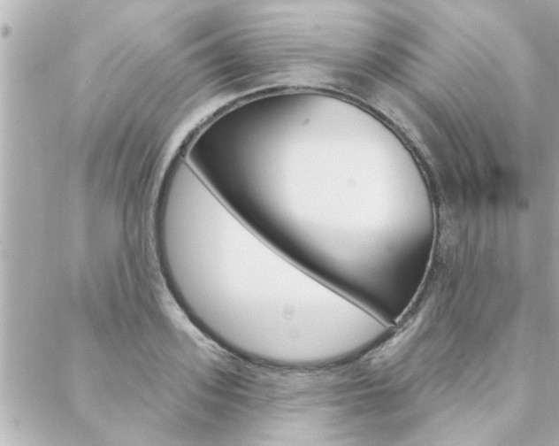 X0000088410939200705220808