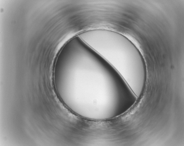 X0000088410949200705220808