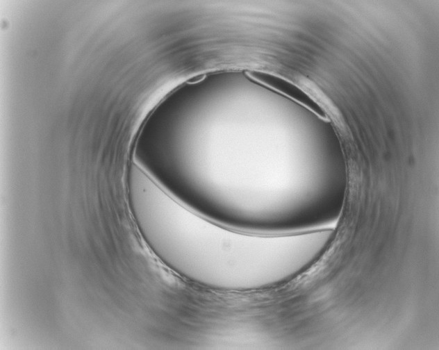 X0000088410956200705220808
