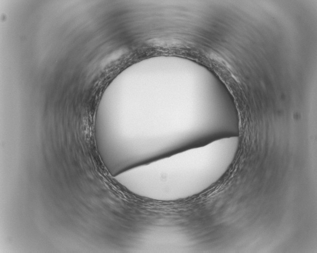 X0000088410966200705220808