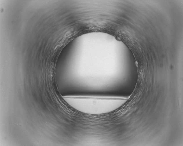 X0000088411012200705220806