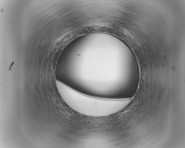 X0000088411014200705220806