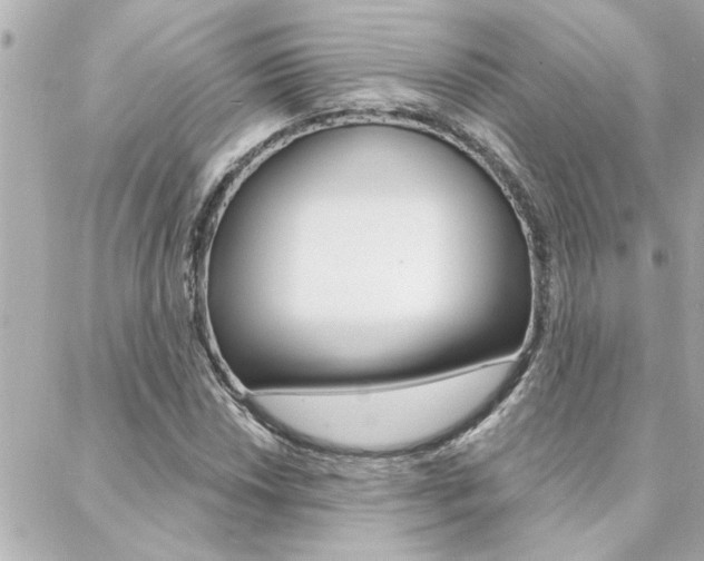 X0000088411018200705220806
