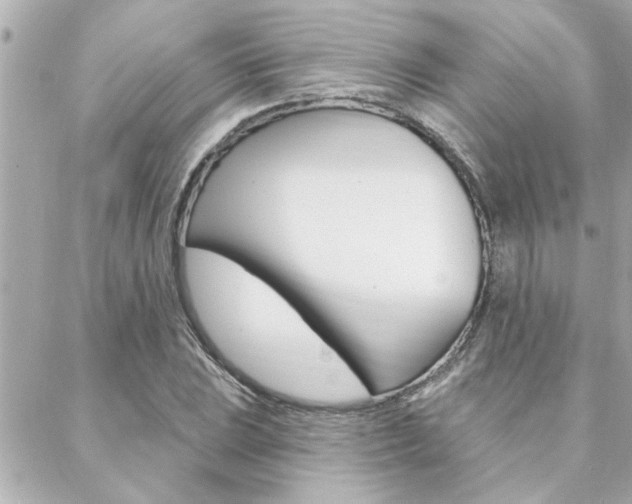X0000088411023200705220806