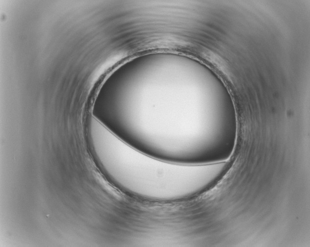 X0000088411026200705220806