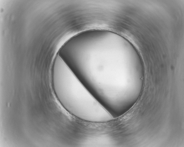 X0000088411056200705220807