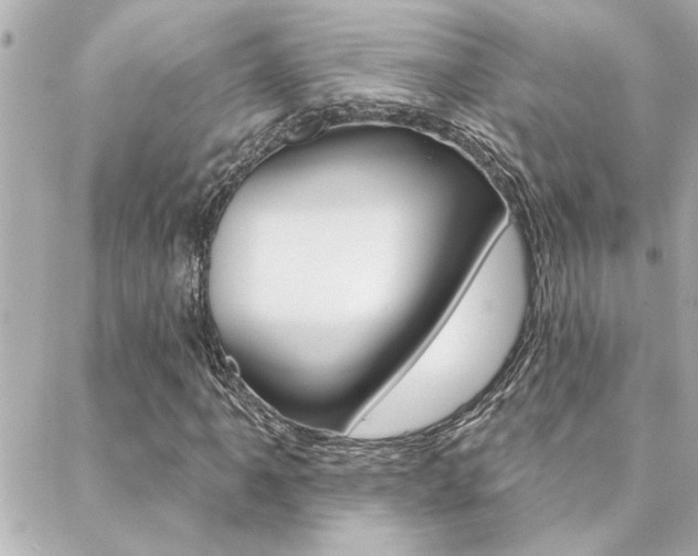 X0000088411061200705220806