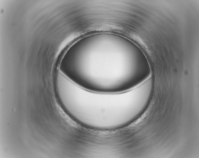 X0000088411122200705220805